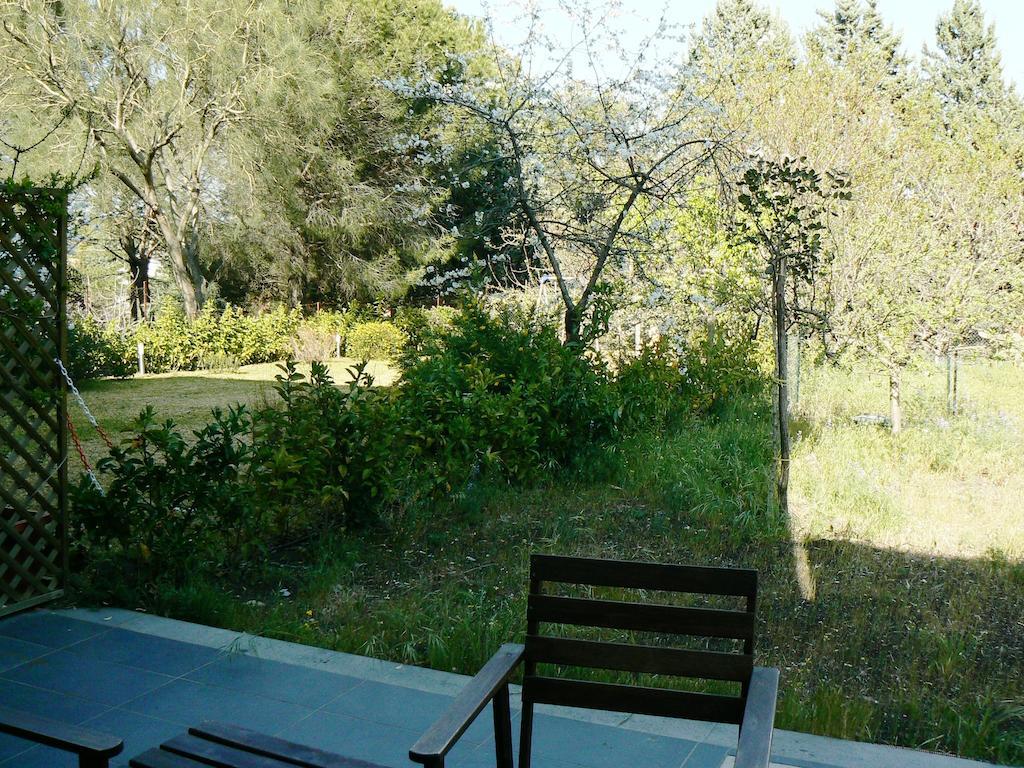 Etna Holiday Home Nicolosi Eksteriør bilde