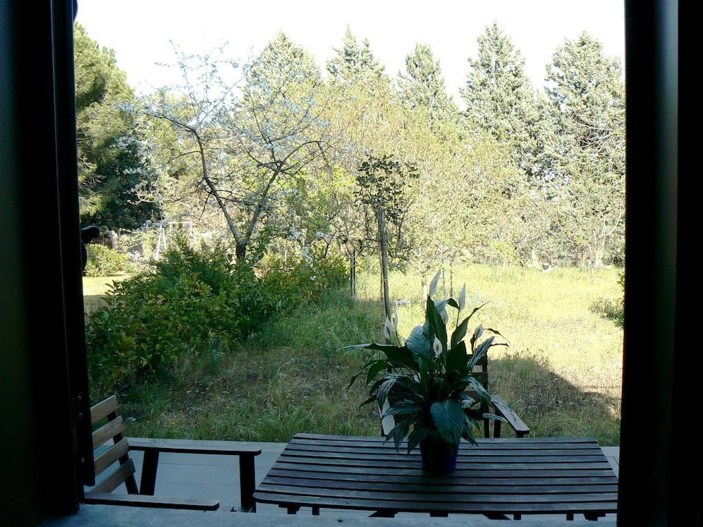 Etna Holiday Home Nicolosi Eksteriør bilde