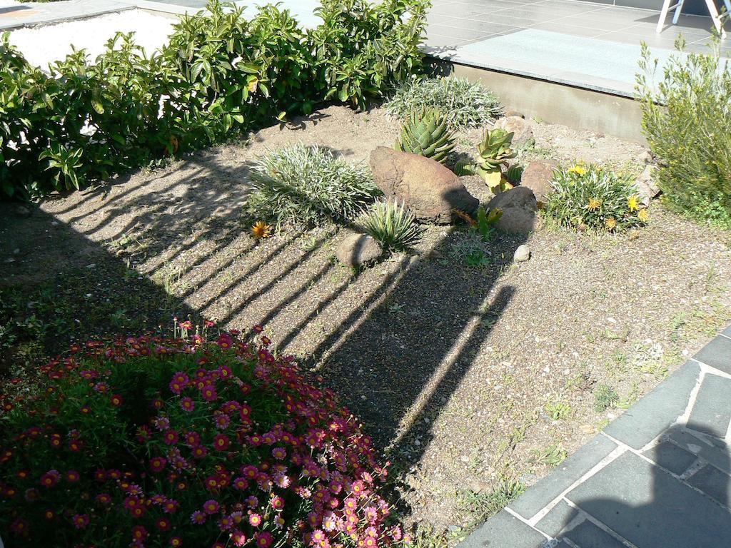 Etna Holiday Home Nicolosi Rom bilde